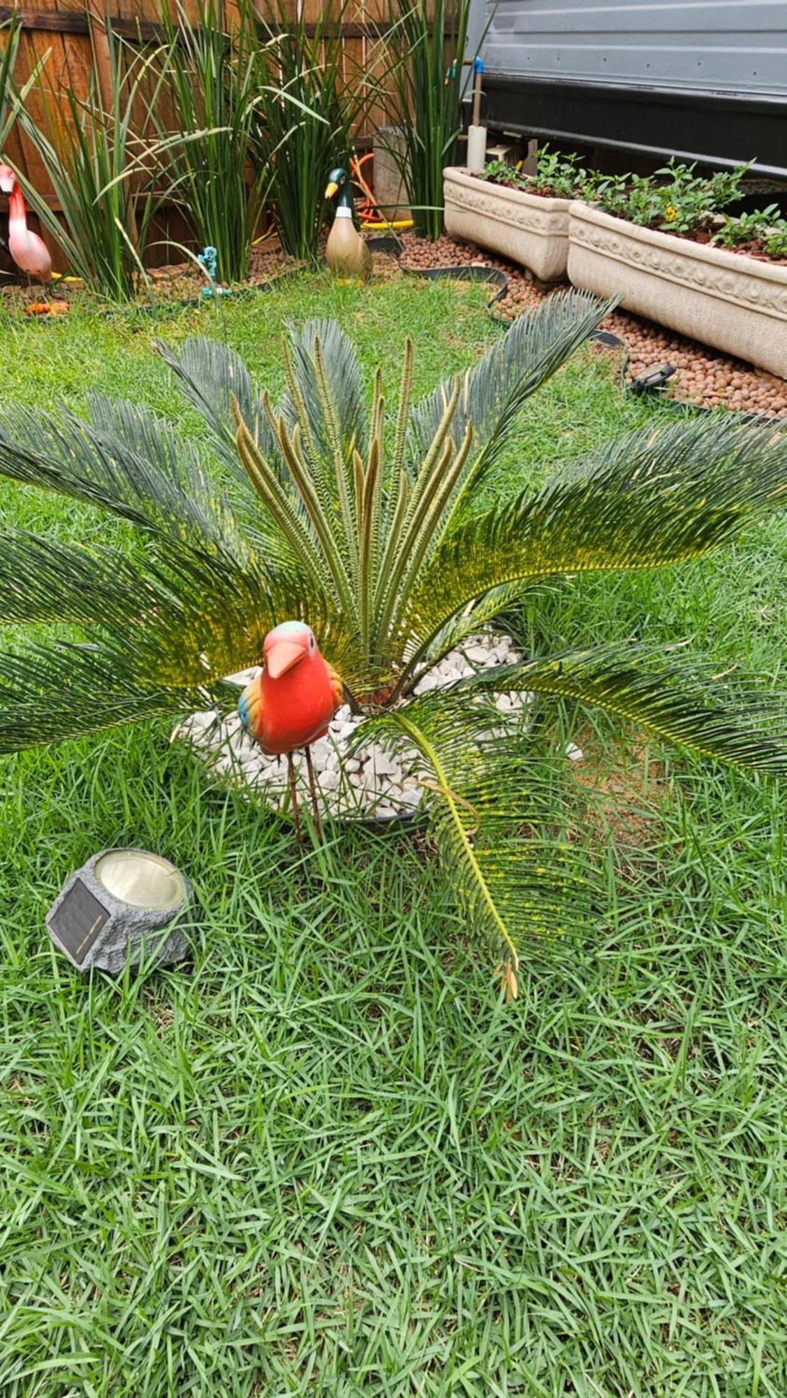 Сasa de vacaciones Casa Conteiner Luxo Foz do Iguaçu